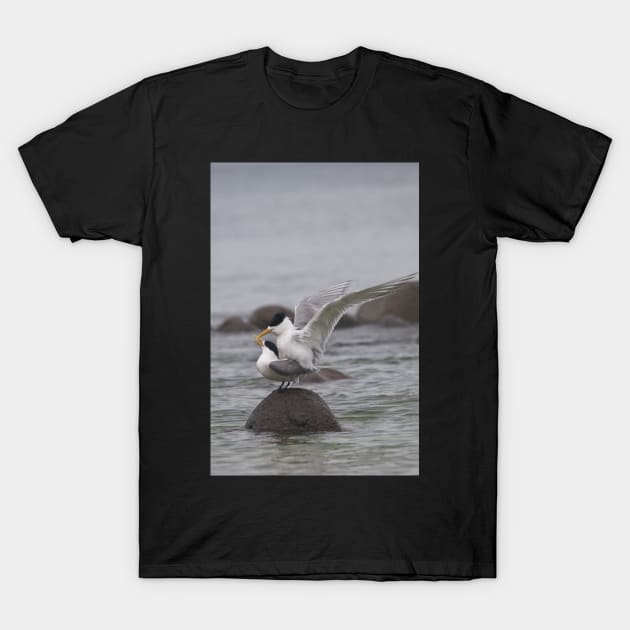 Mating Pair 1 T-Shirt by fotoWerner